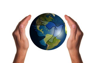 开云体育app在线-罗马尼亚队赛制评析:如何在团队赛中实现个人与集体的和谐统一